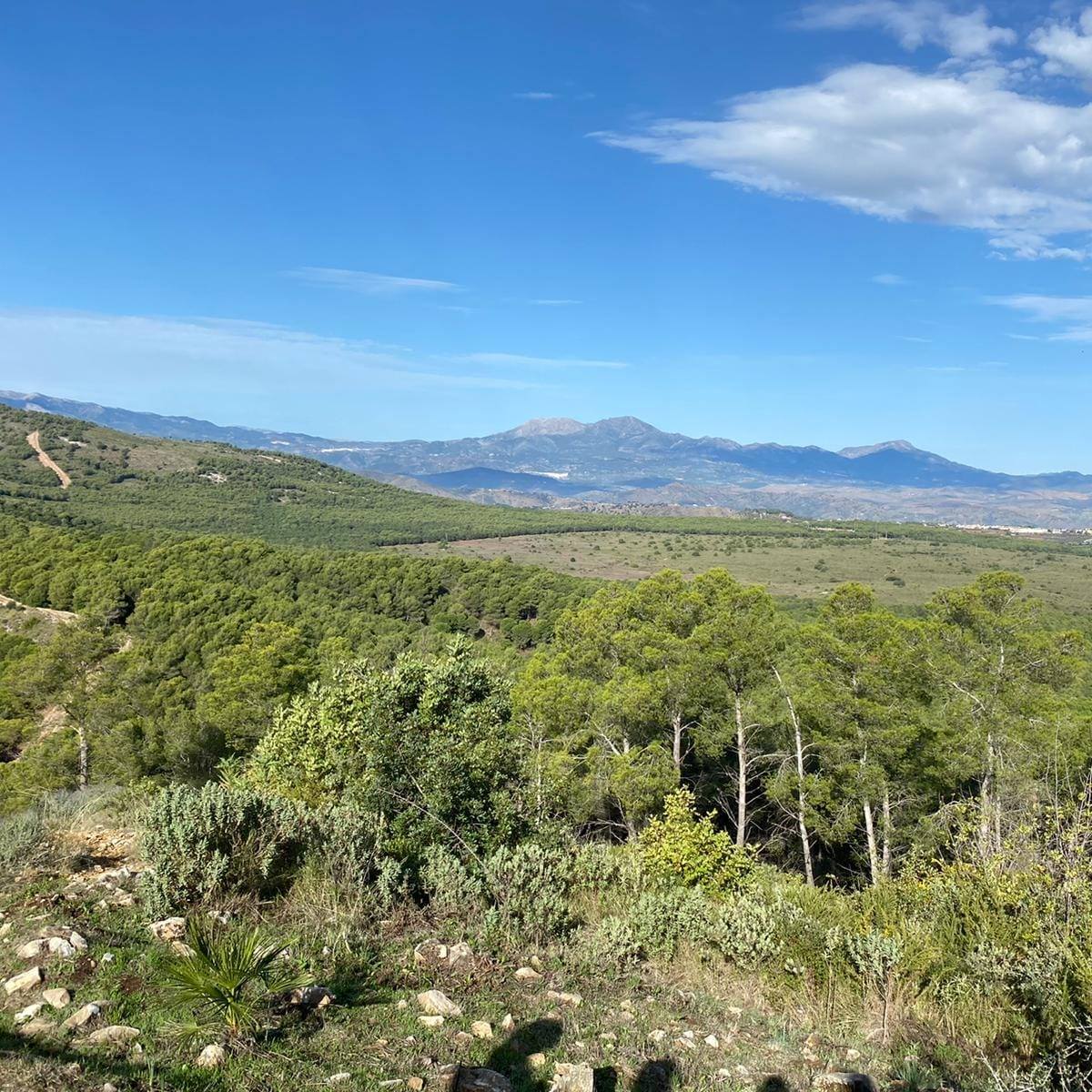 IV CxM Sierras de Coín