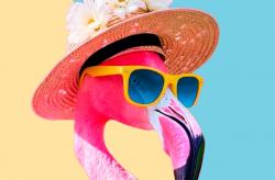 cultura - primavera programacion