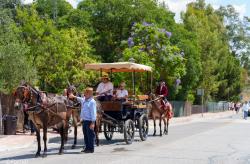 Los romeros camino de la ermita el sábado